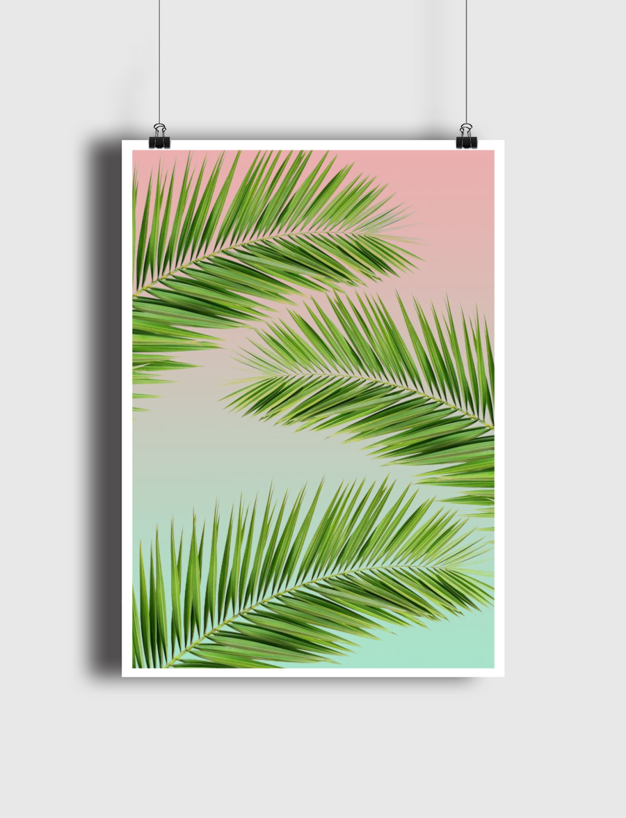 palm leaves