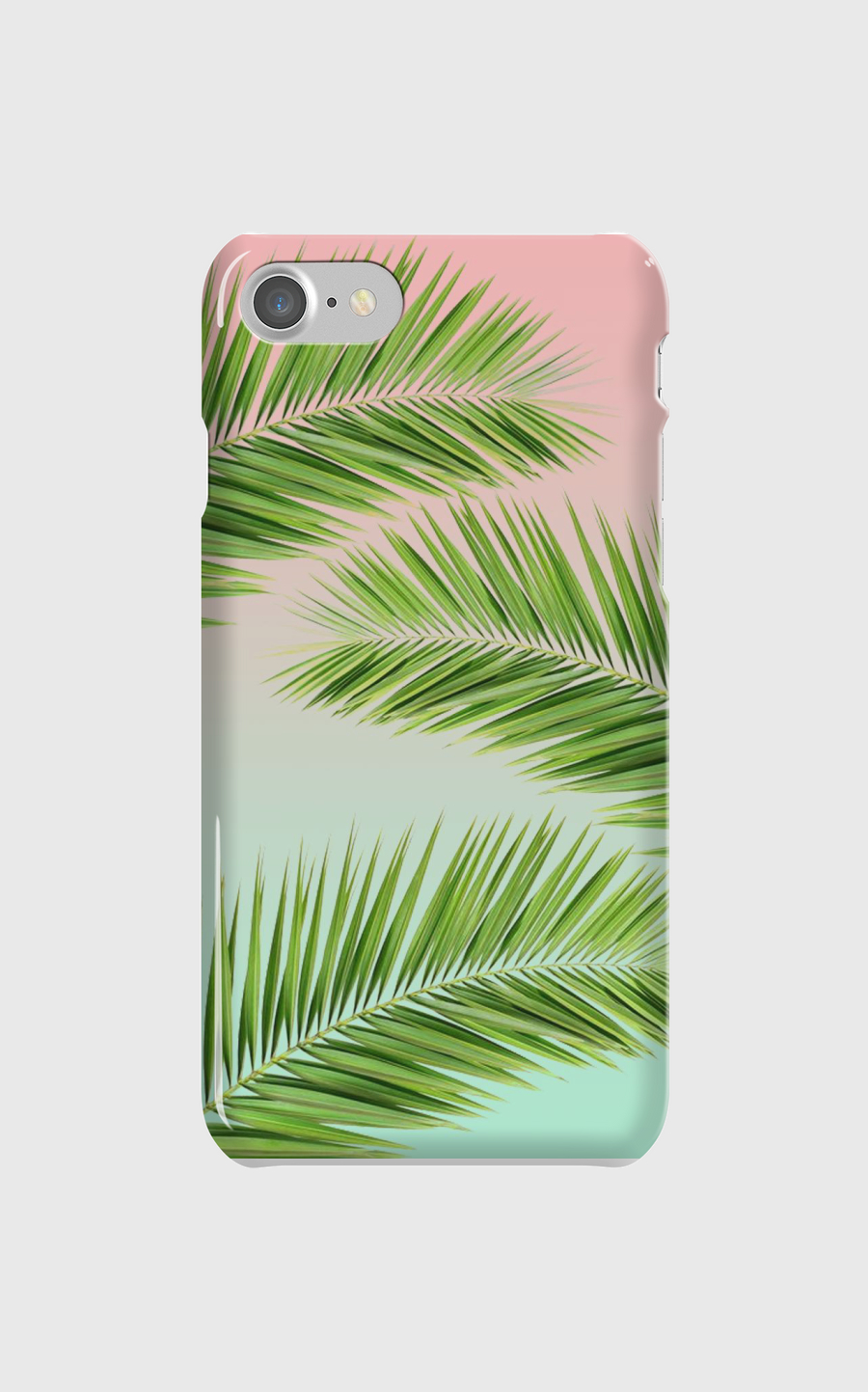 palm leaves