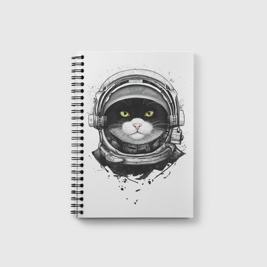Cosmic cat