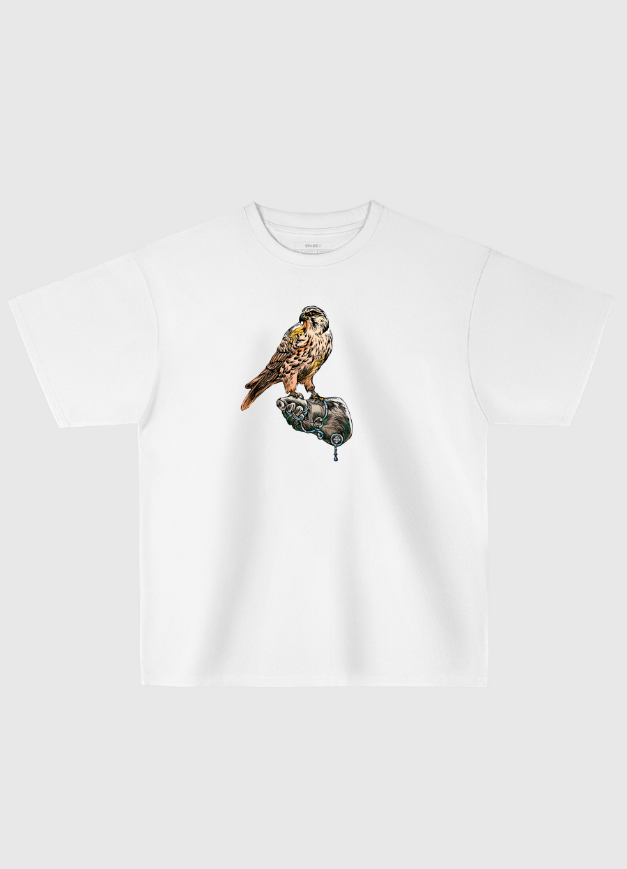Arabian Falcon