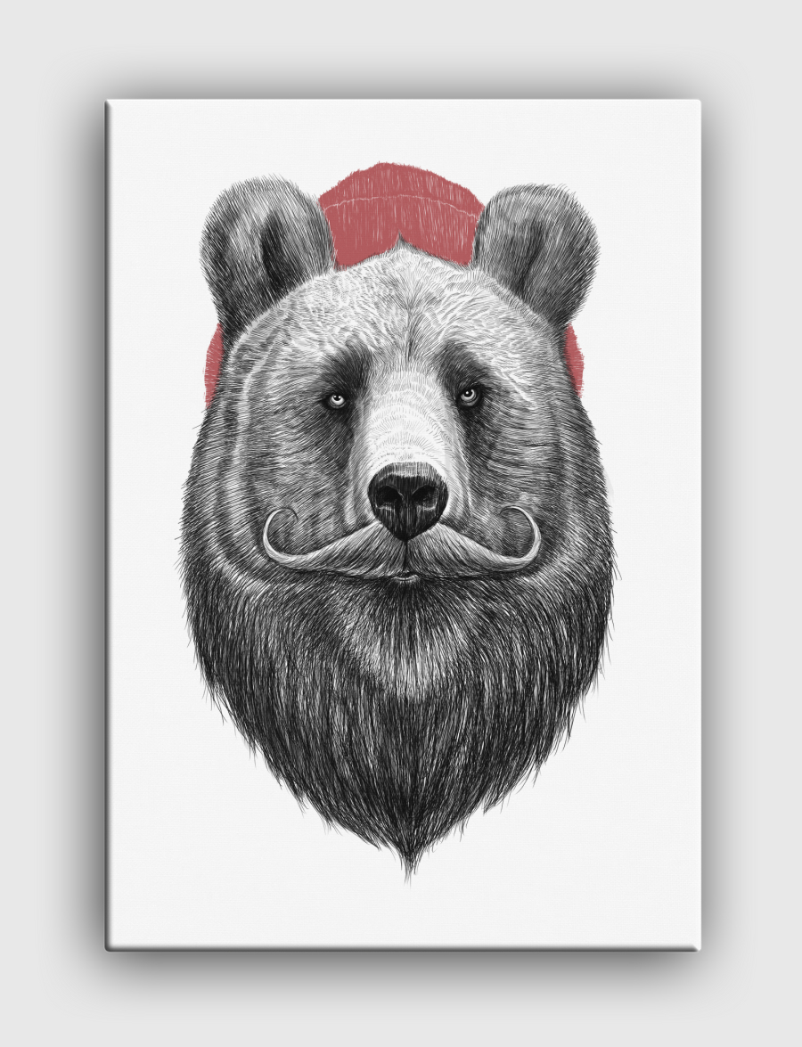Bearded bear