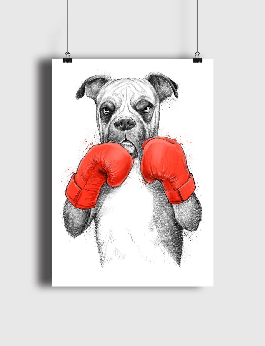 Boxer