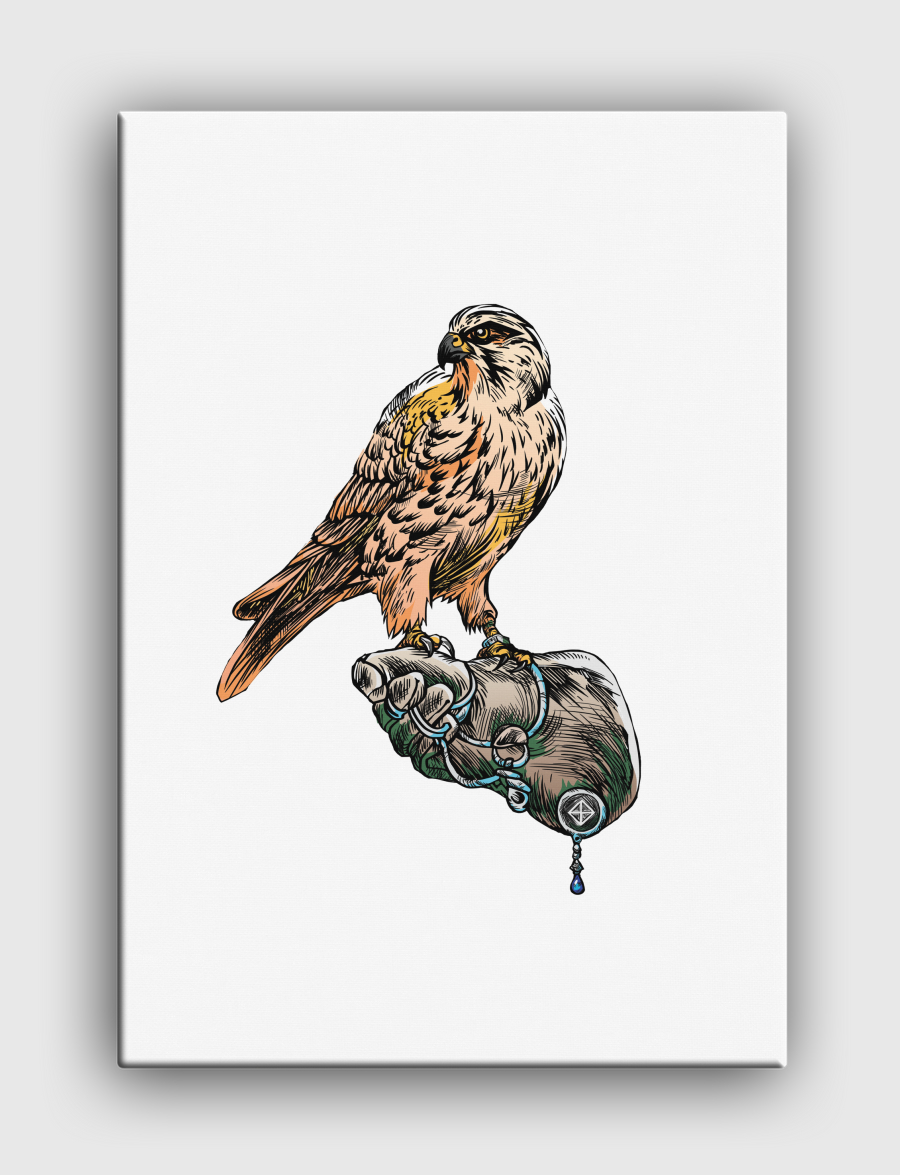 Arabian Falcon