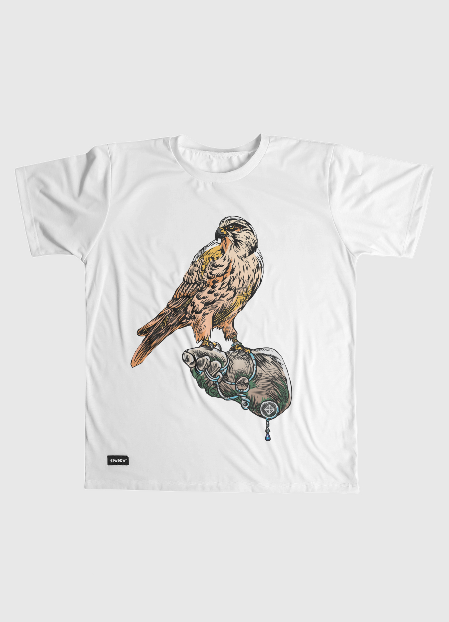 Arabian Falcon
