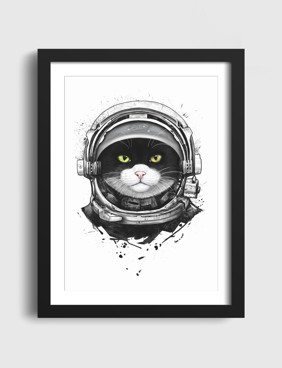 Cosmic cat