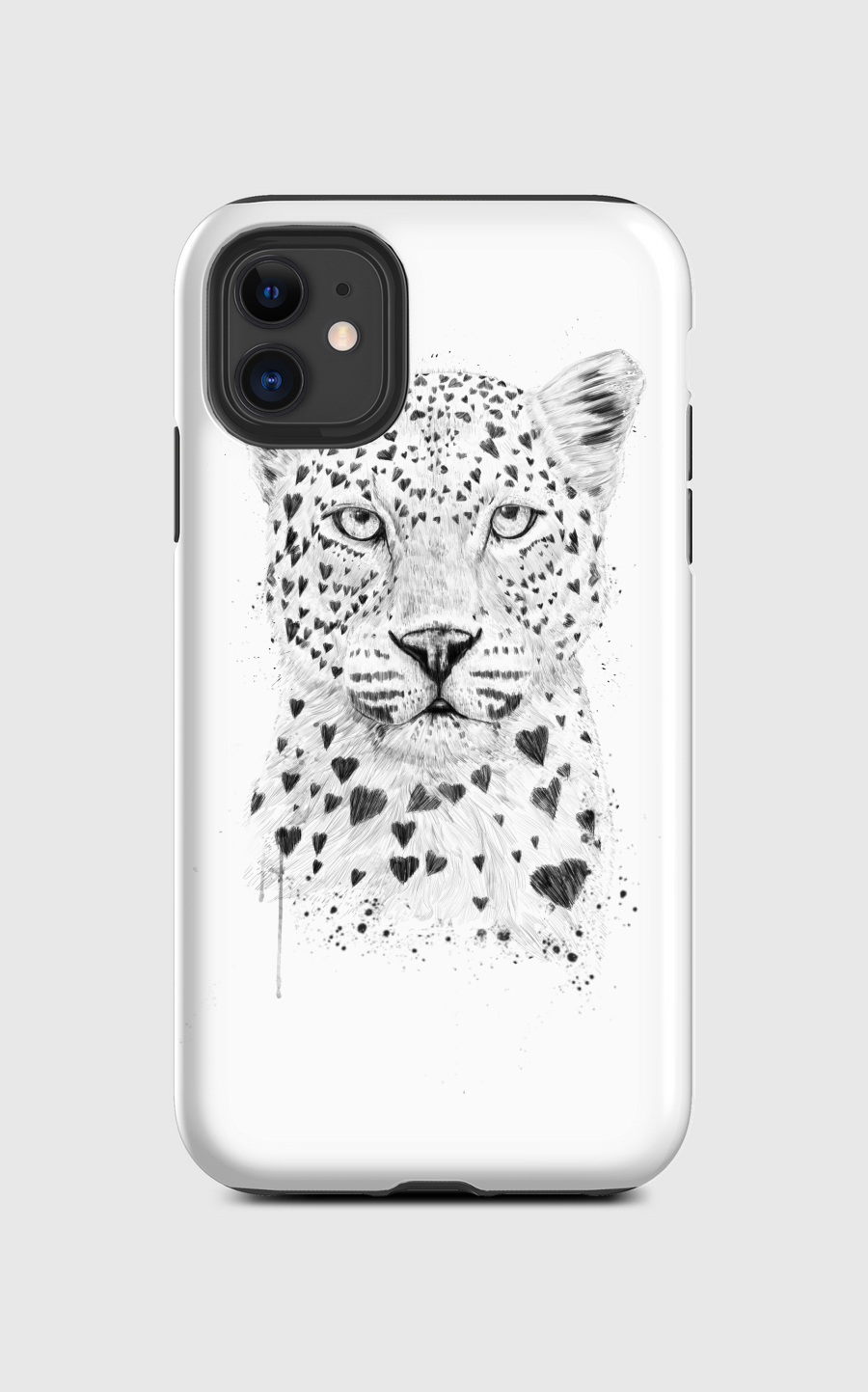 Lovely leopard