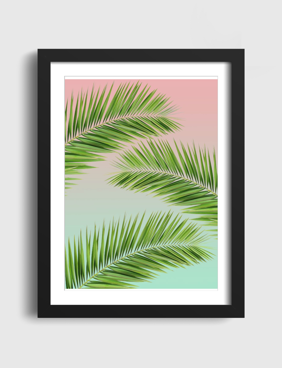 palm leaves