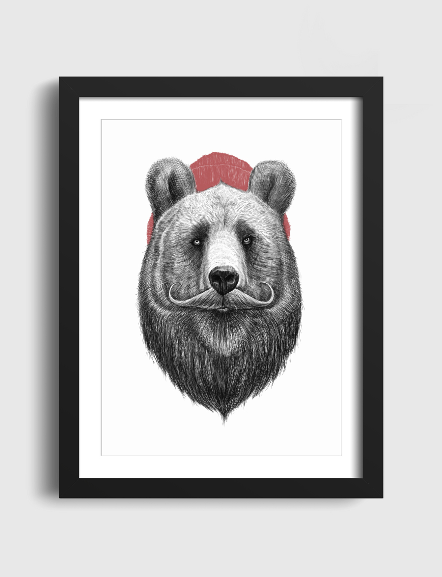 Bearded bear