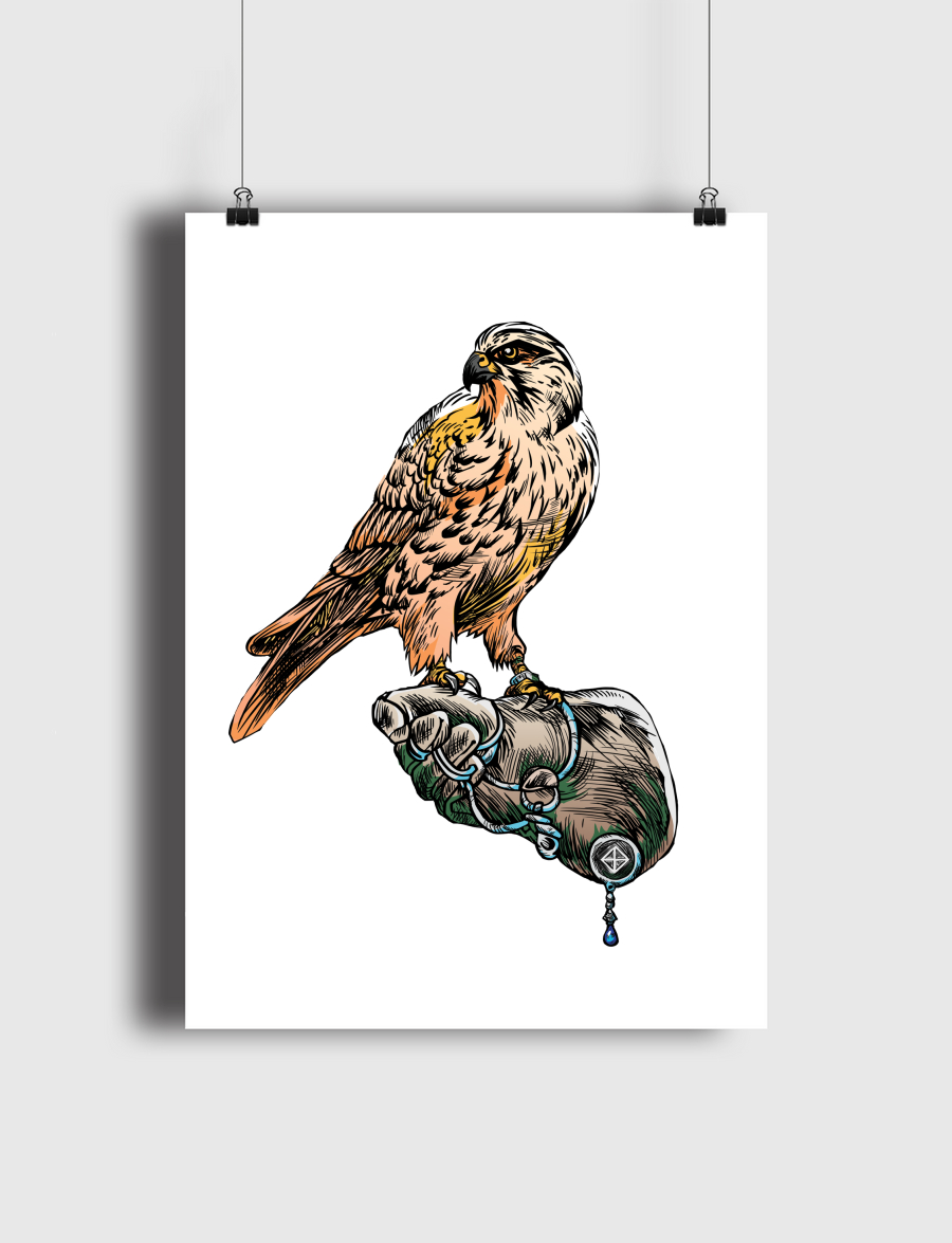 Arabian Falcon