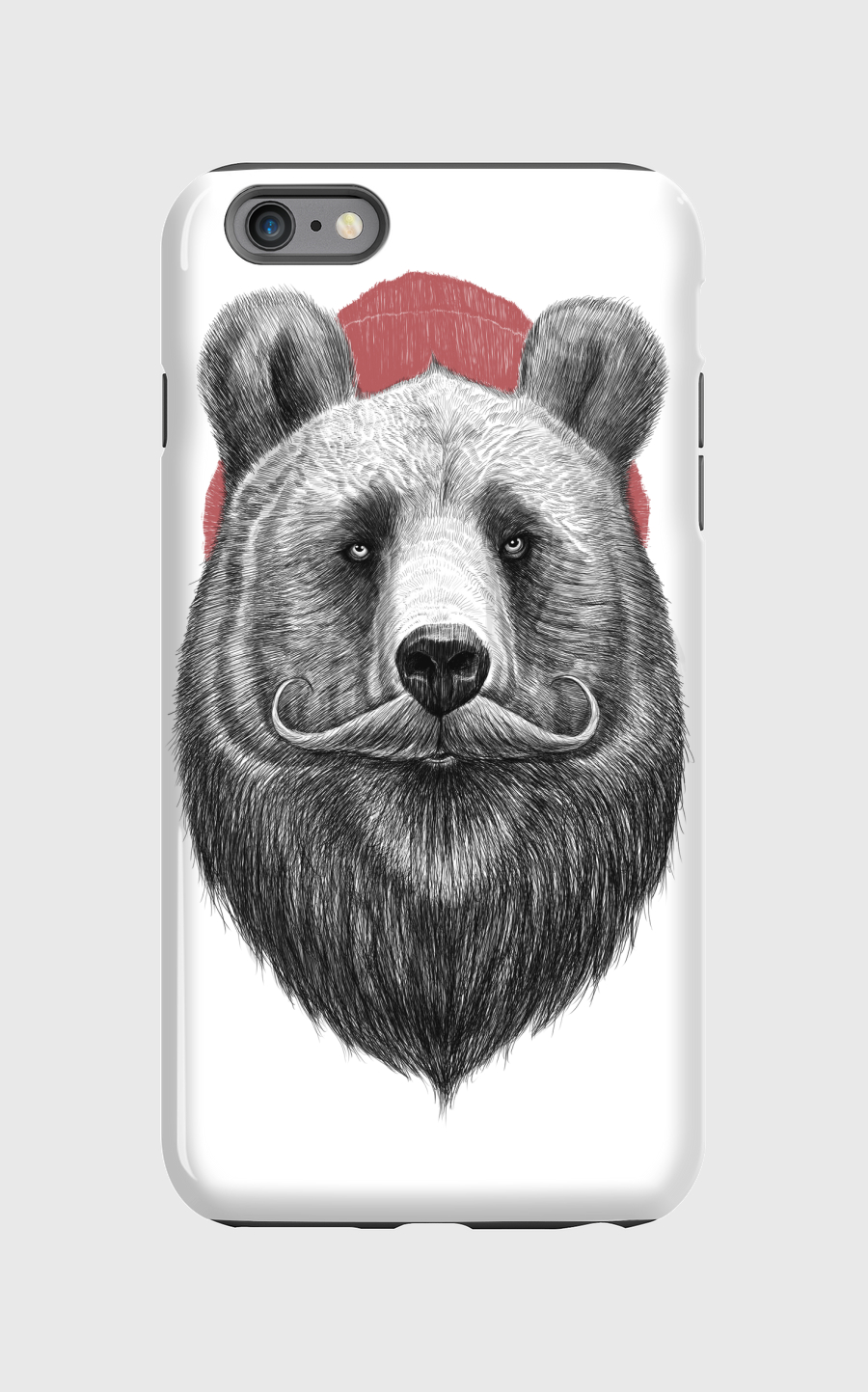 Bearded bear
