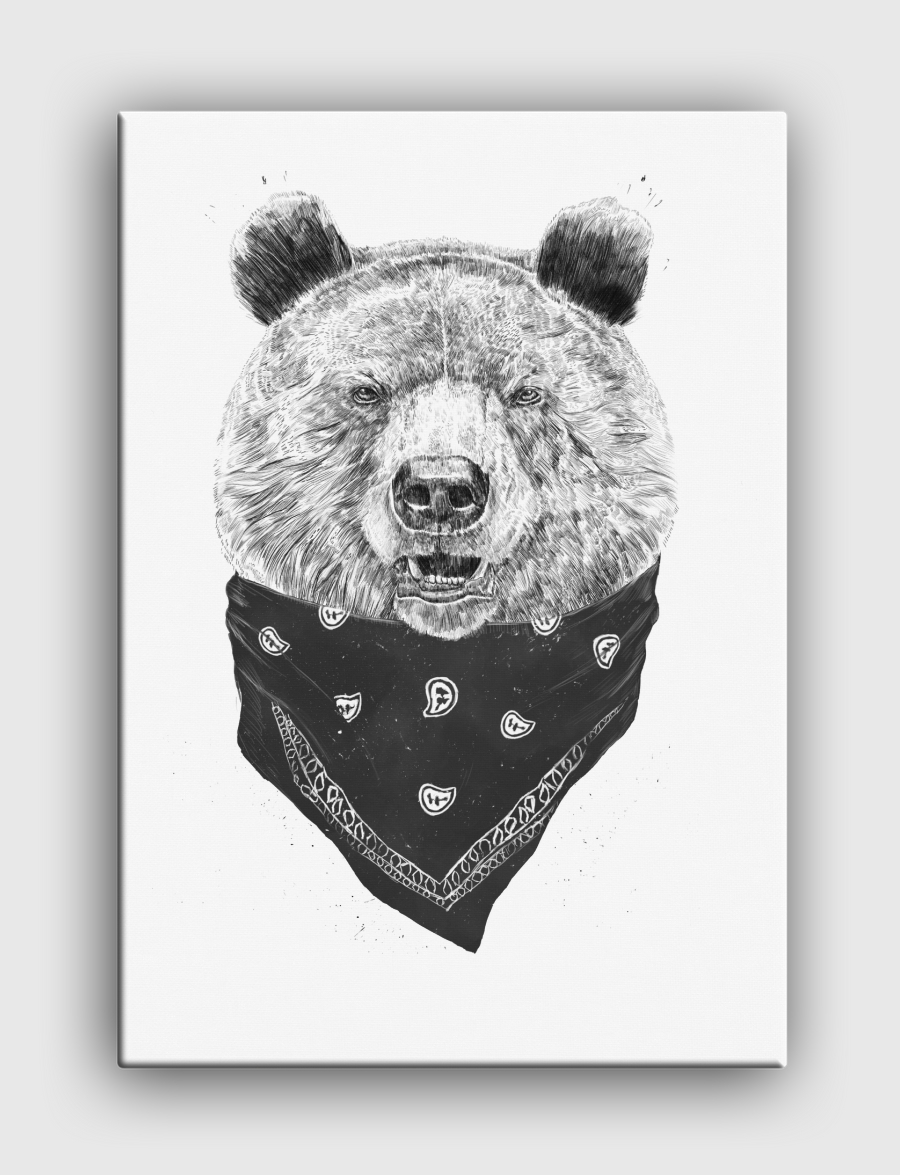 Wild bear