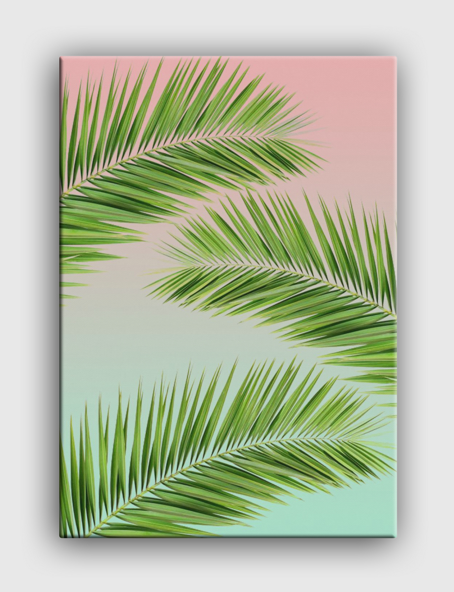 palm leaves