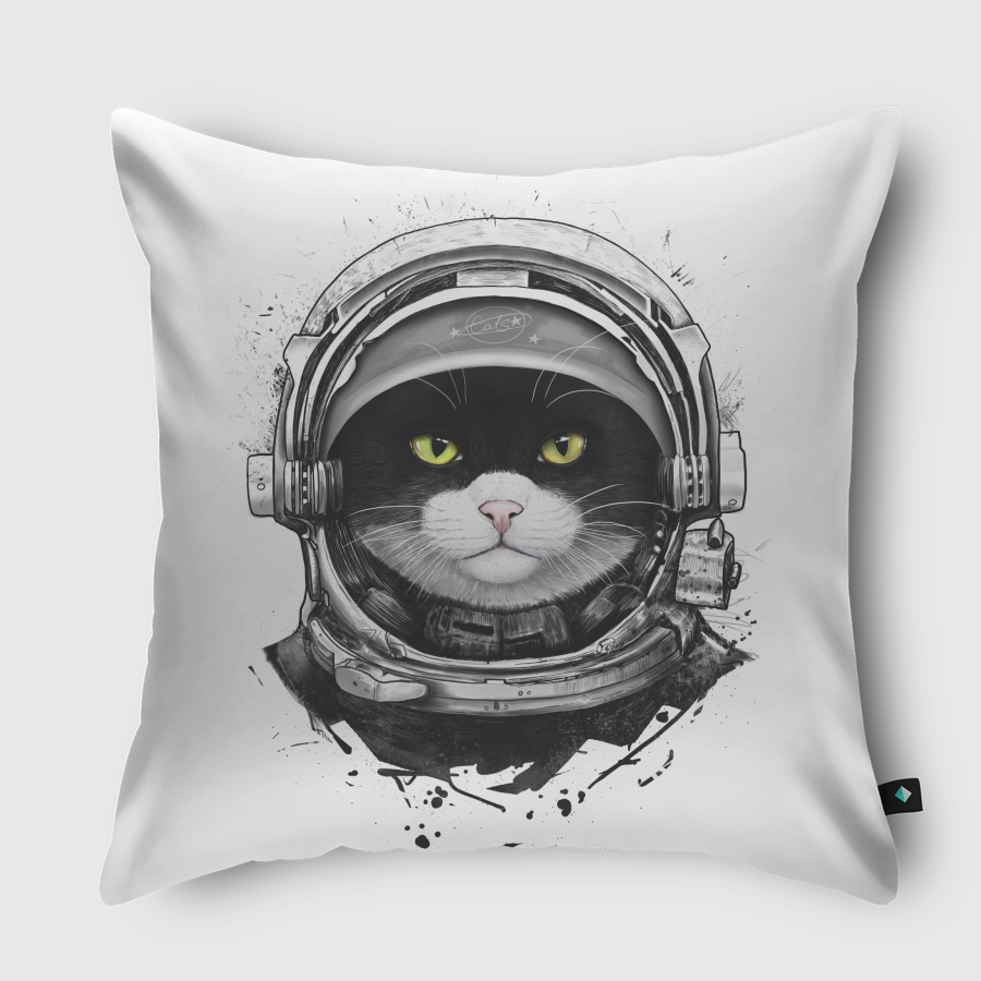 Cosmic cat