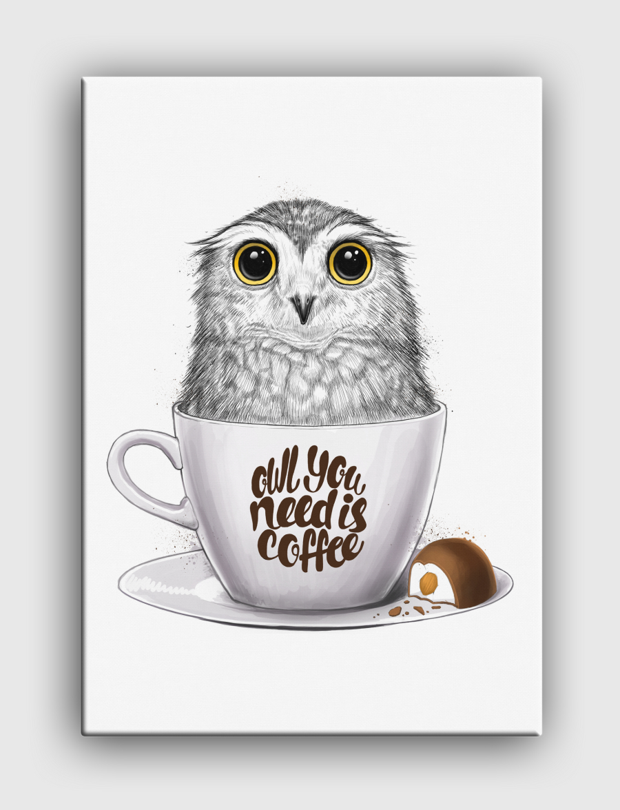 Owl you need is coffee